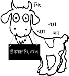 bangla singh comics