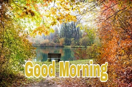 Good Morning Photos Good Morning Photos
