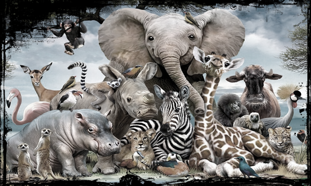 Kode Alam Mimpi Hewan Cicak Lengkap Terpercaya 2d 3d 4d