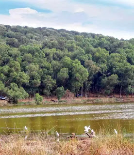 Kénitra - Maroc Morocco 🇲🇦 مدينة القنيطرة - Abdeladim Tmari