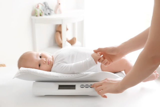10 Resep MPasi untuk Menaikkan Berat Badan Bayi Balita