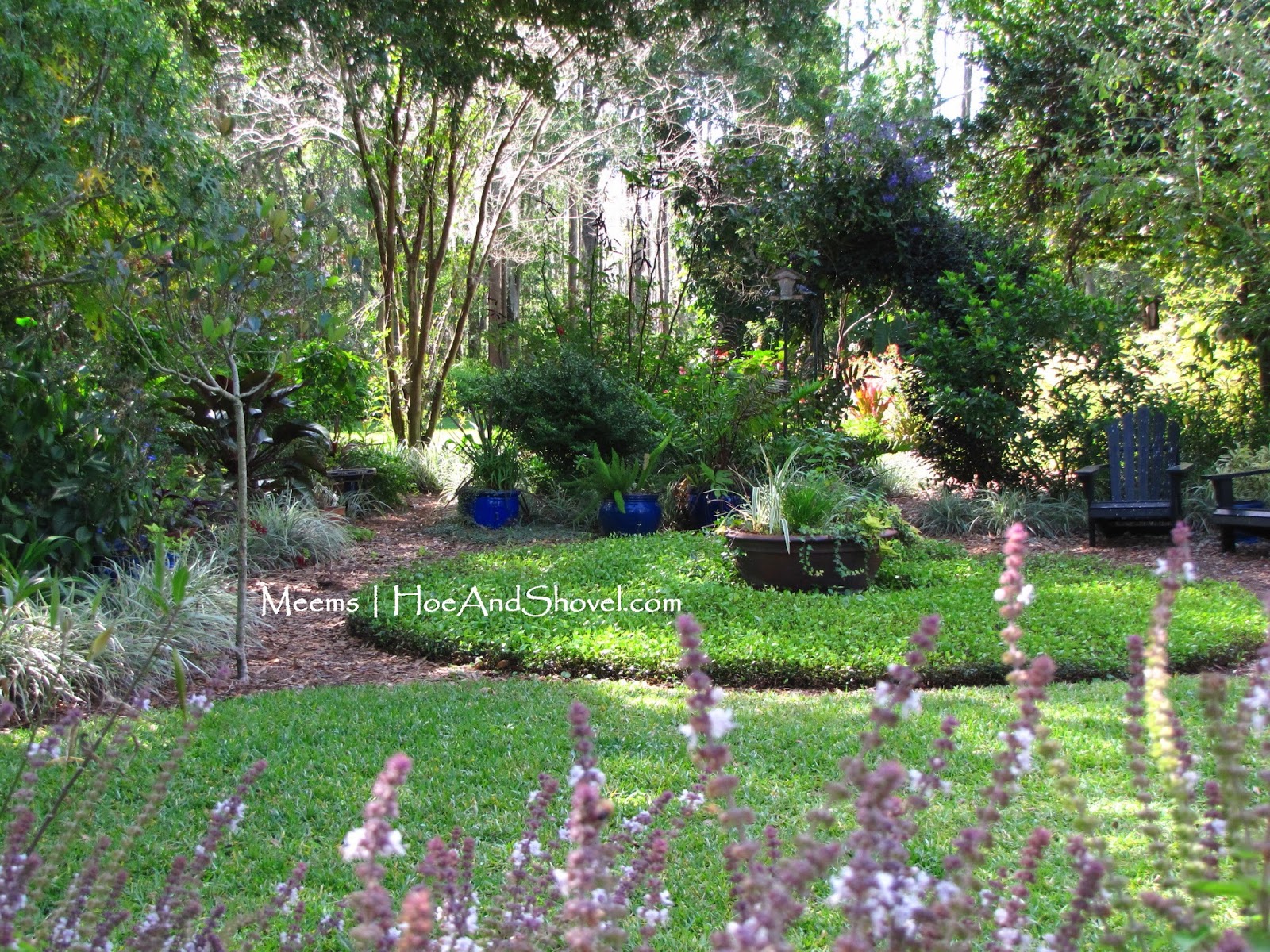 Cajun Gardening Sweet Almond Vs Flowering Almond