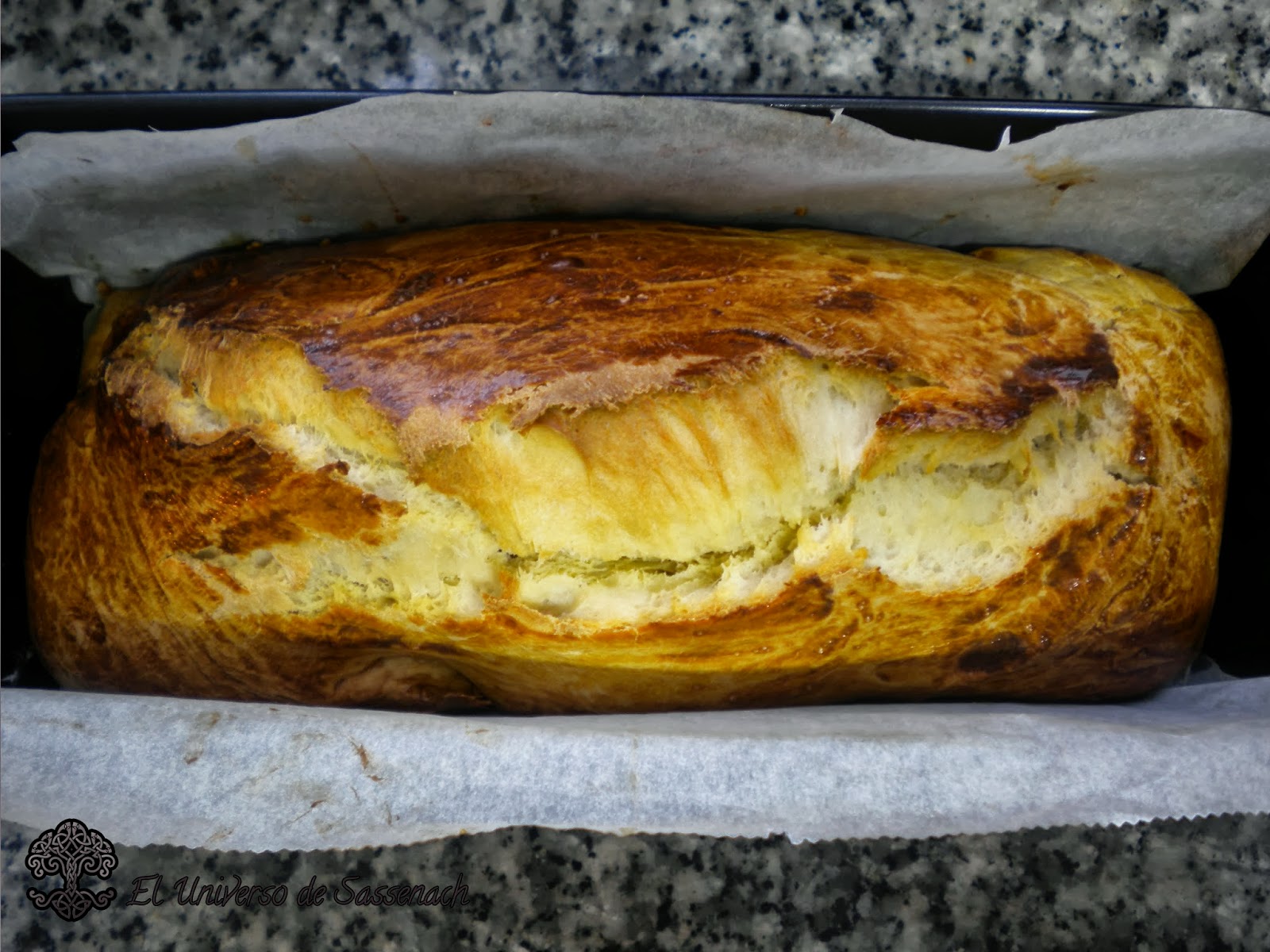 El universo de sassenach PAN BRIOCHE (THERMOMIX)