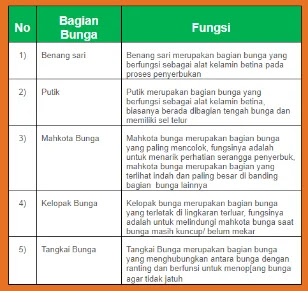 Kunci Jawaban Ipa Kelas 9 Ayo Kita Lakukan Aktivitas 2 2 Halaman 64 65 66 Wali Kelas Sd