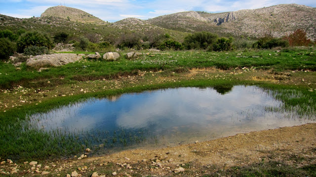 L'Almiserà des de la Bassa de Benirrama