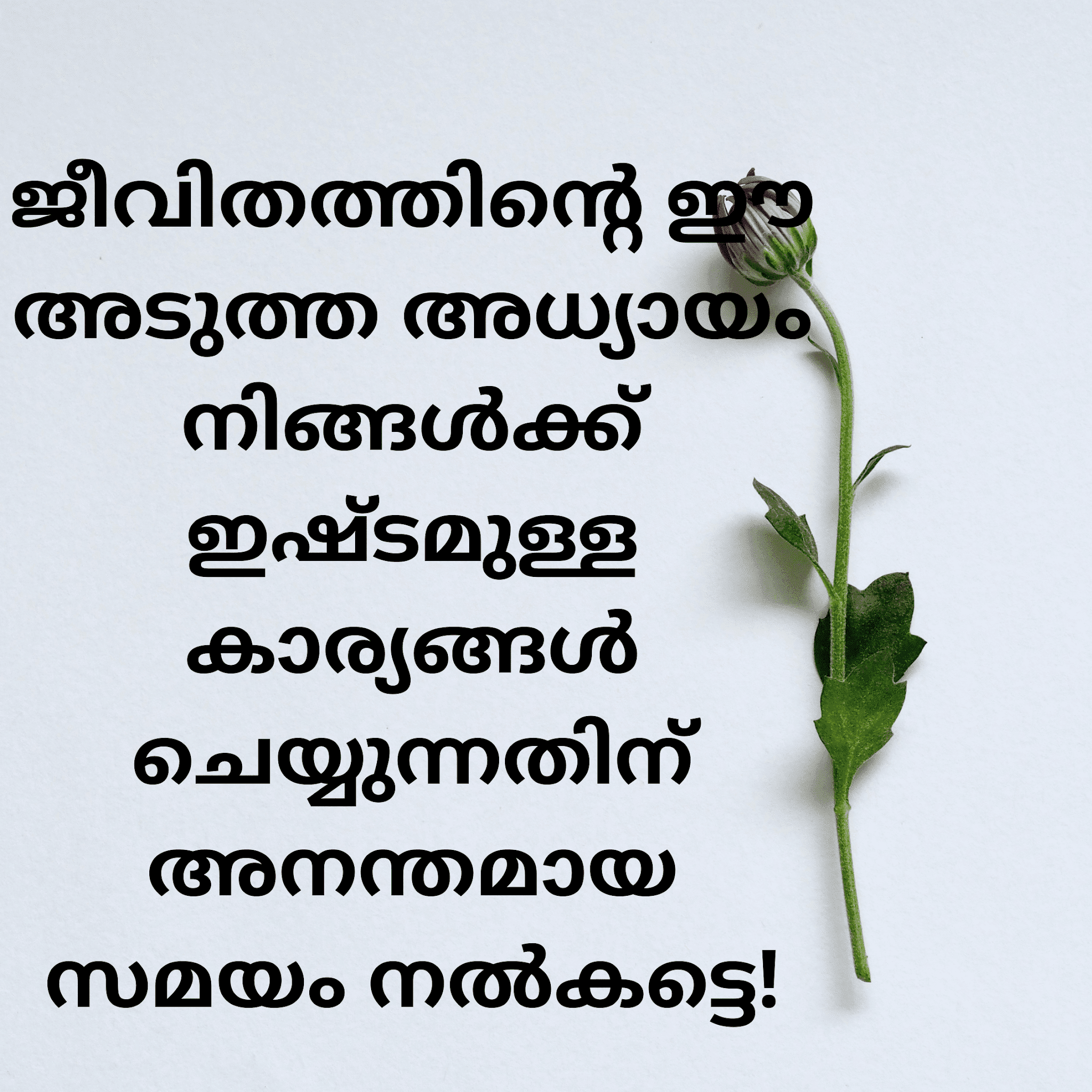 Beautiful Malayalam Life Quotes And Image life Status Malayalam