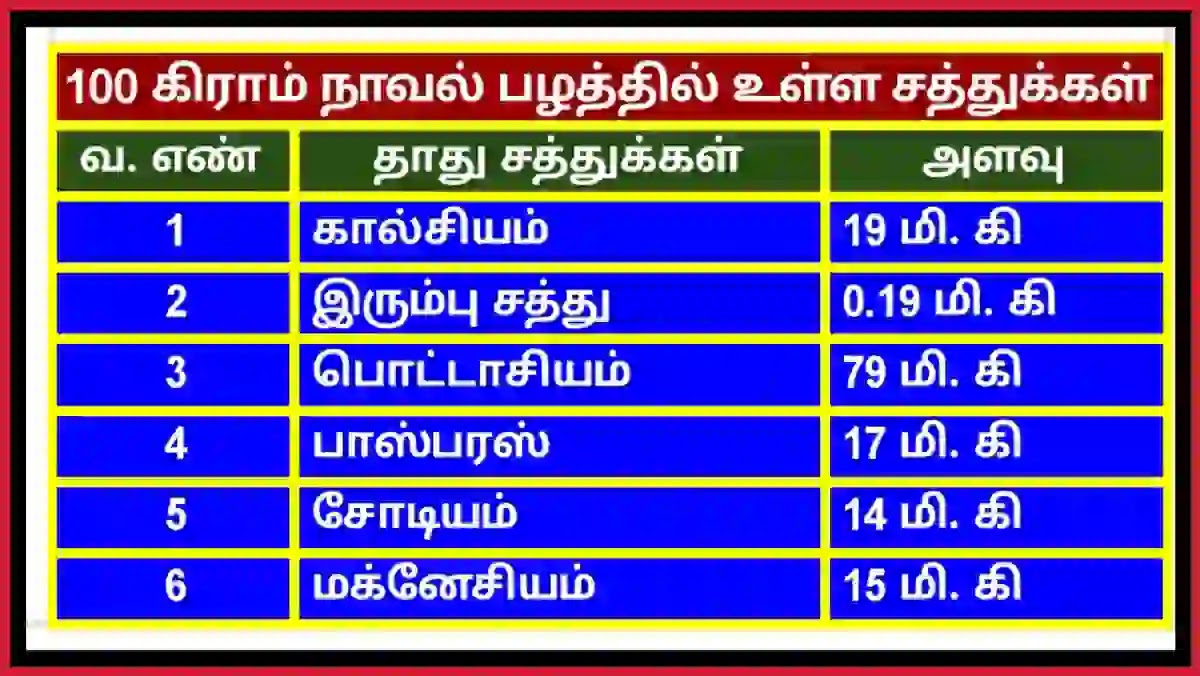 நாவல் பழத்தில் உள்ள சத்துக்கள் மற்றும் நன்மைகள் நாவல் பழம் சத்துக்கள் தாதுக்கள்