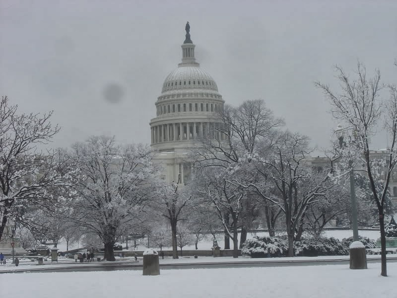 Matt's Weather Rapport Finding the Humor in a Washington DC Winter
