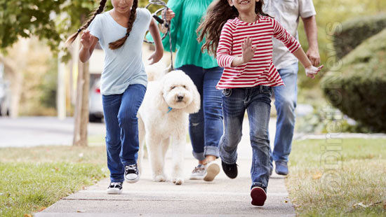 ministerio publico processa familia furou isolamento