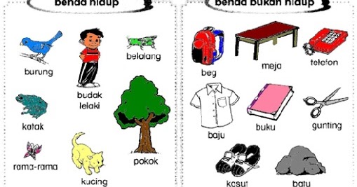 MARI BELAJAR BERSAMA: SAINS - BENDA HIDUP DAN BENDA BUKAN HIDUP
