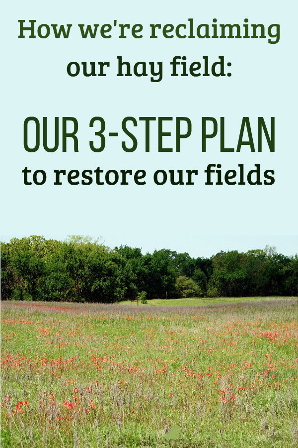 How We Reclaimed our Hay Field Oak Hill Homestead