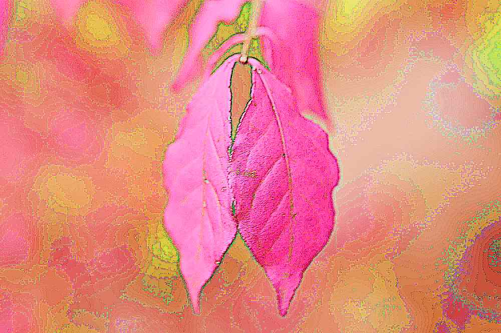 예산 덕숭산 수덕사 예산 덕숭산 수덕사