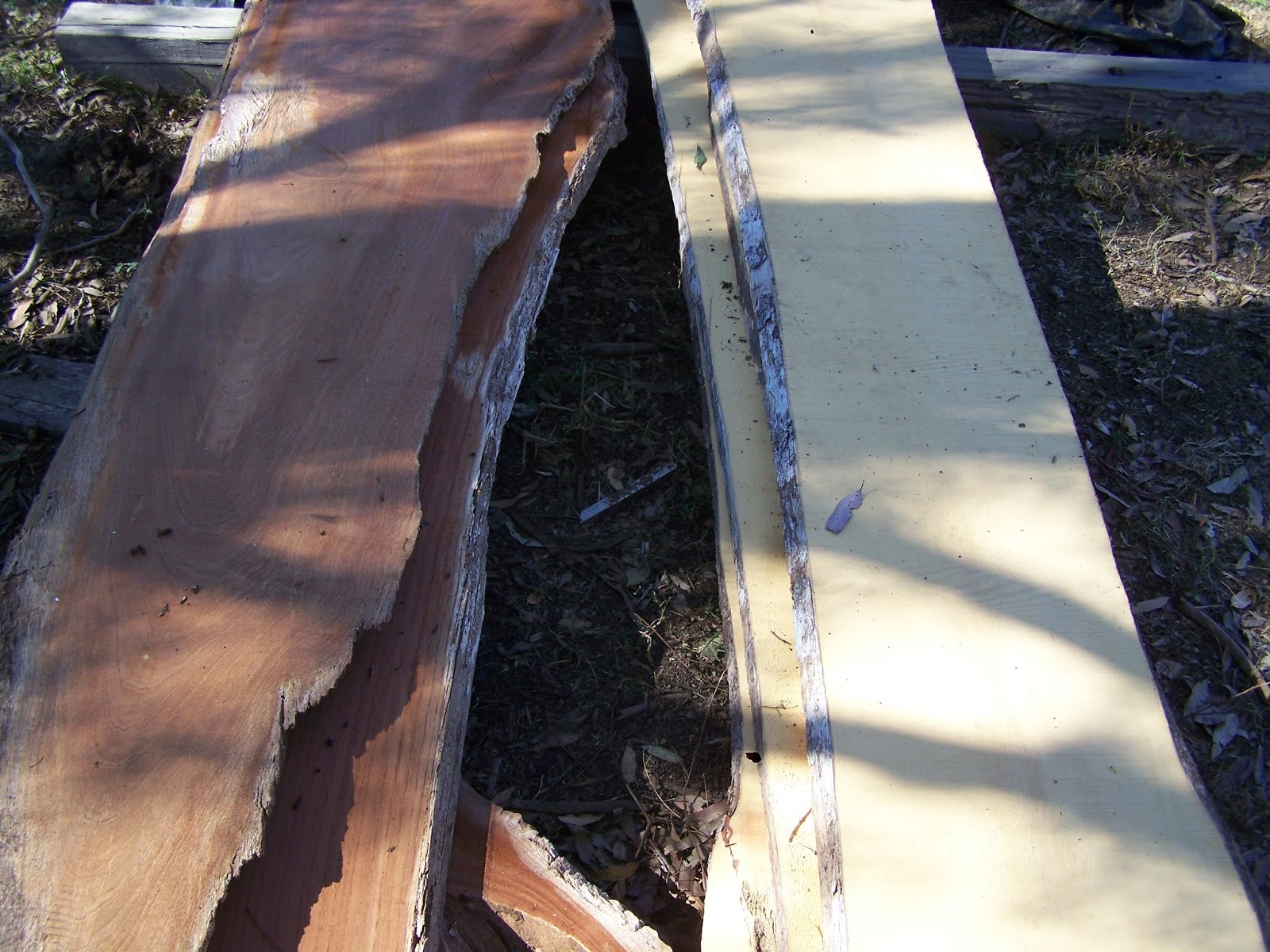 Boutique Timbers TIMBER AUCTION Lot Photos