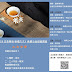 2019-07-13《正念樂活·幸福久久》免費公益講座 台北場：正念茶學，歡迎報名體驗不一樣的茶學品茗。