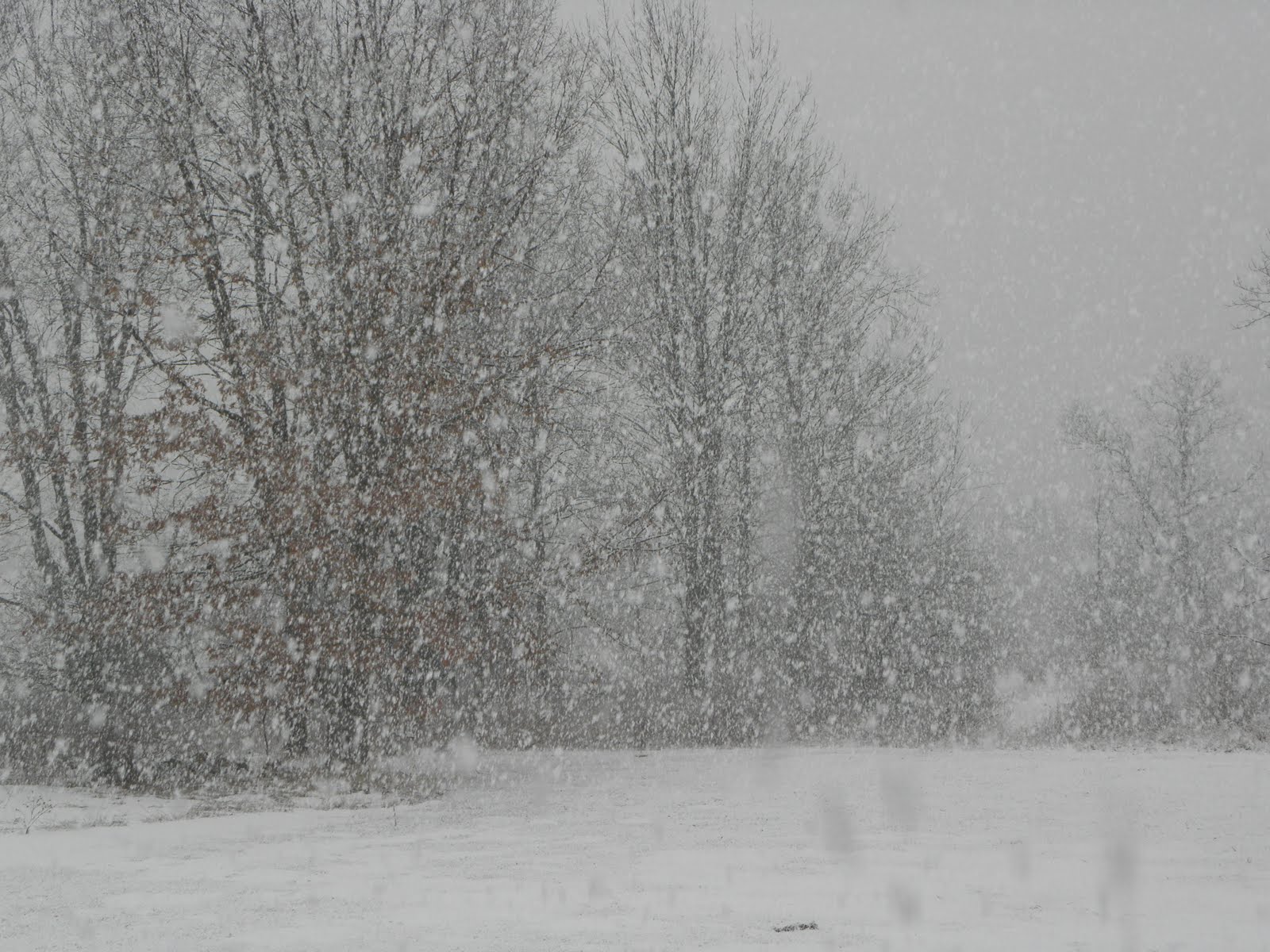 Alison and The Professor Lightning Snow Storm April 3, 2011