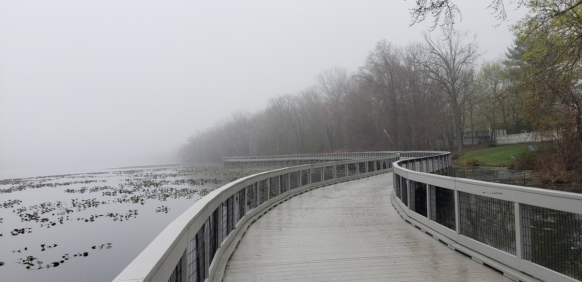Harriman Hiker Harriman State Park and Beyond Congers Lake Loop Spring Hike