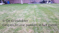 geel gazon bruin gras plekken