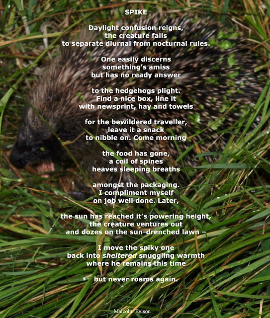 MAL's FACTORY Poetry & Prose Poems Two Illustrated Poems SPIKE and