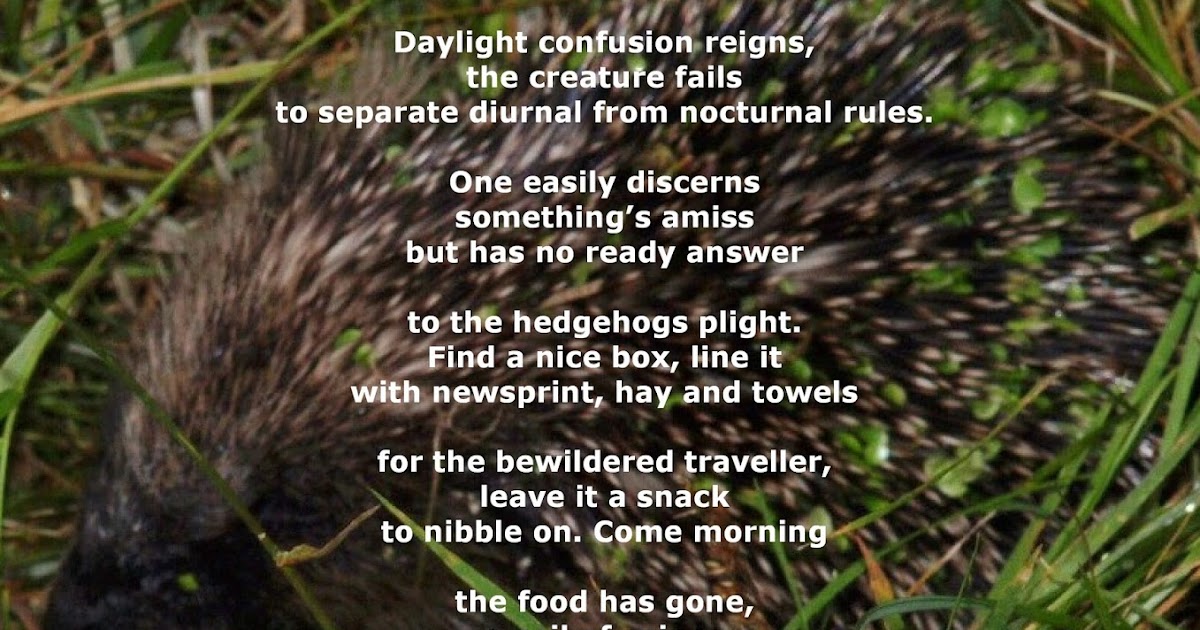 MAL's FACTORY Poetry & Prose Poems Two Illustrated Poems SPIKE and