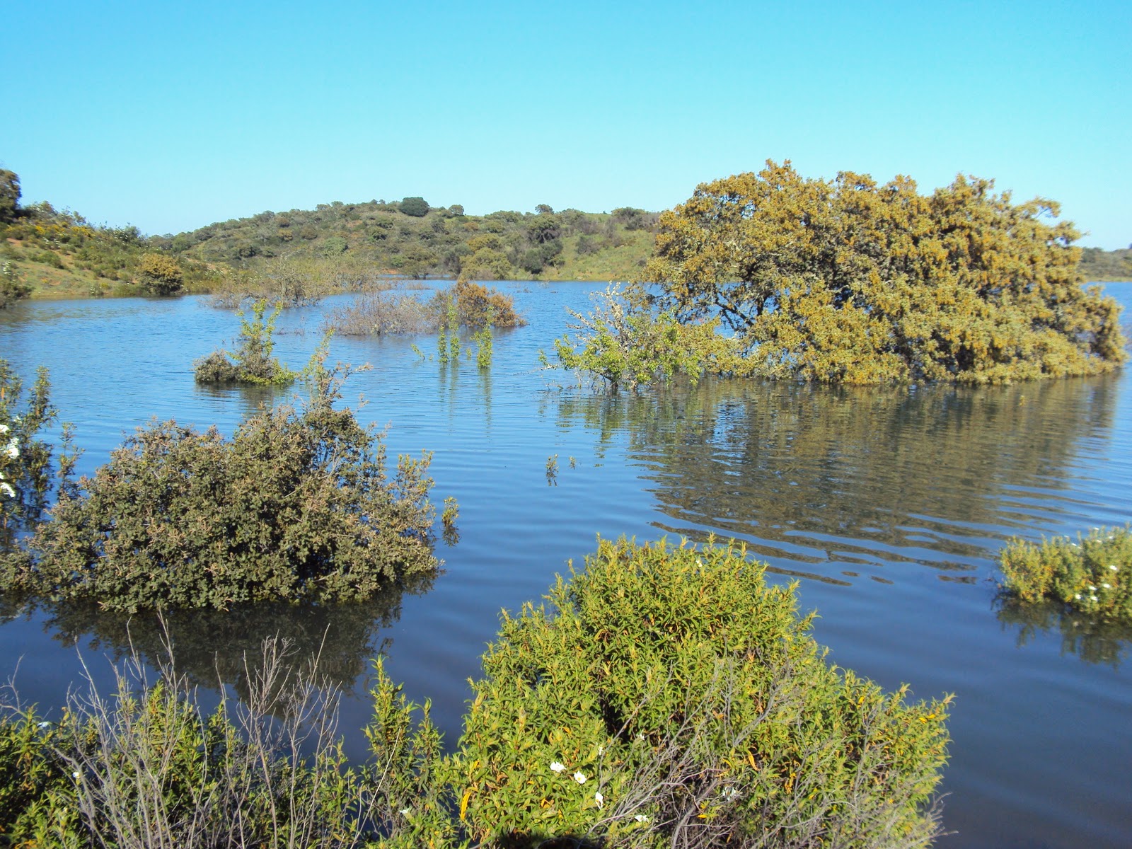 Amigos del Bass Embalse del Chanza 2011