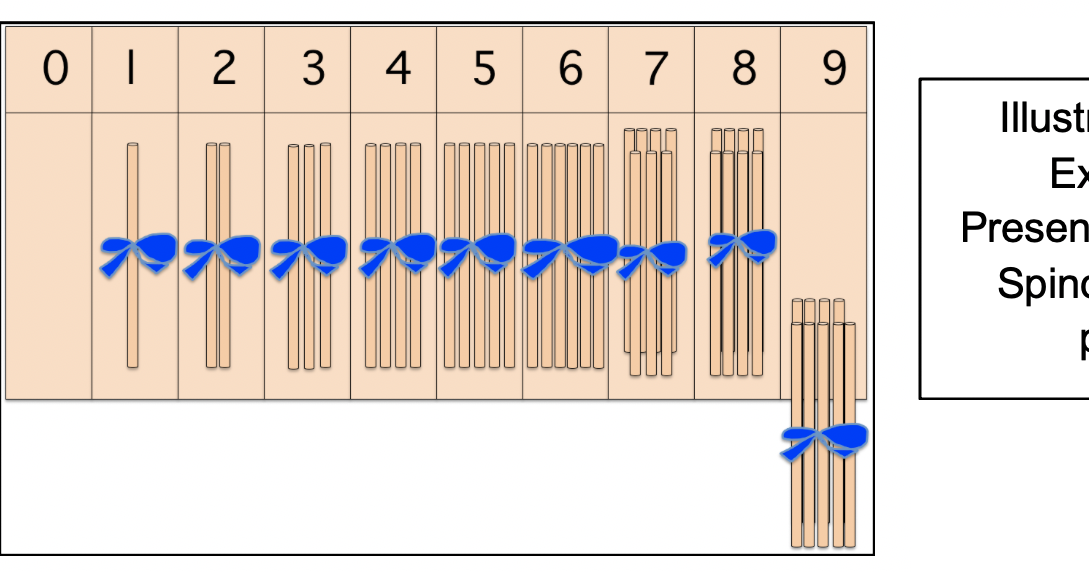 Montessori AMI 3 to 6 SPINDLE BOXES