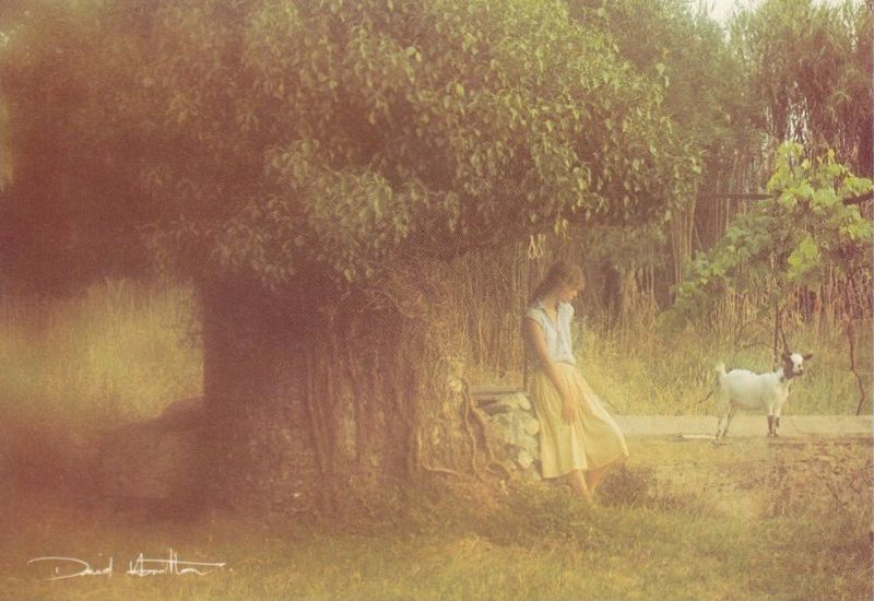 30 Dreamy Photographs Of Young Women Taken By David Hamilton From The 
