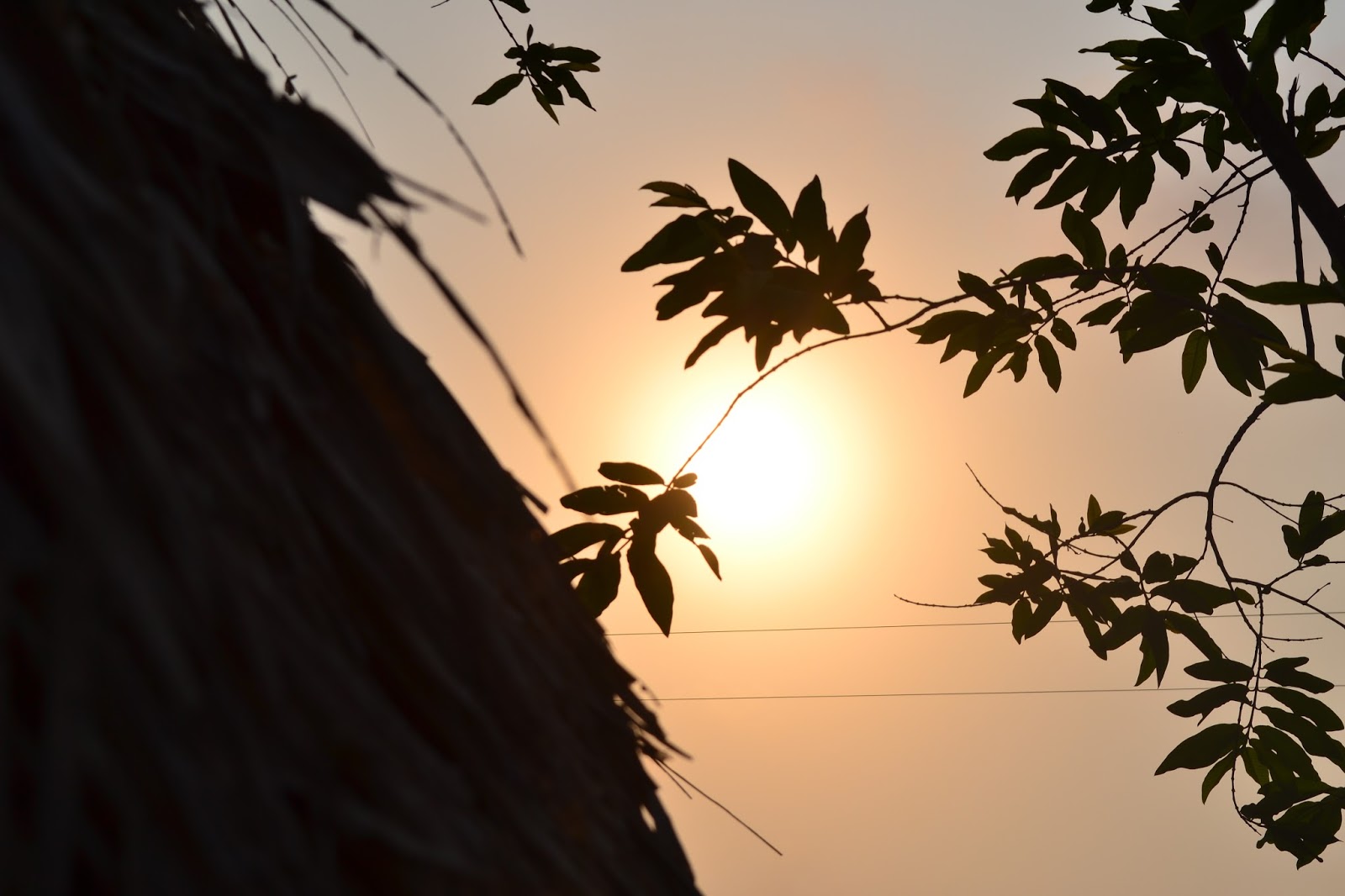 FOTOGRAFÍAS Contraluz