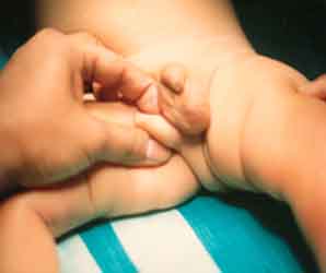 popup-Ectopic-Testes.jpg