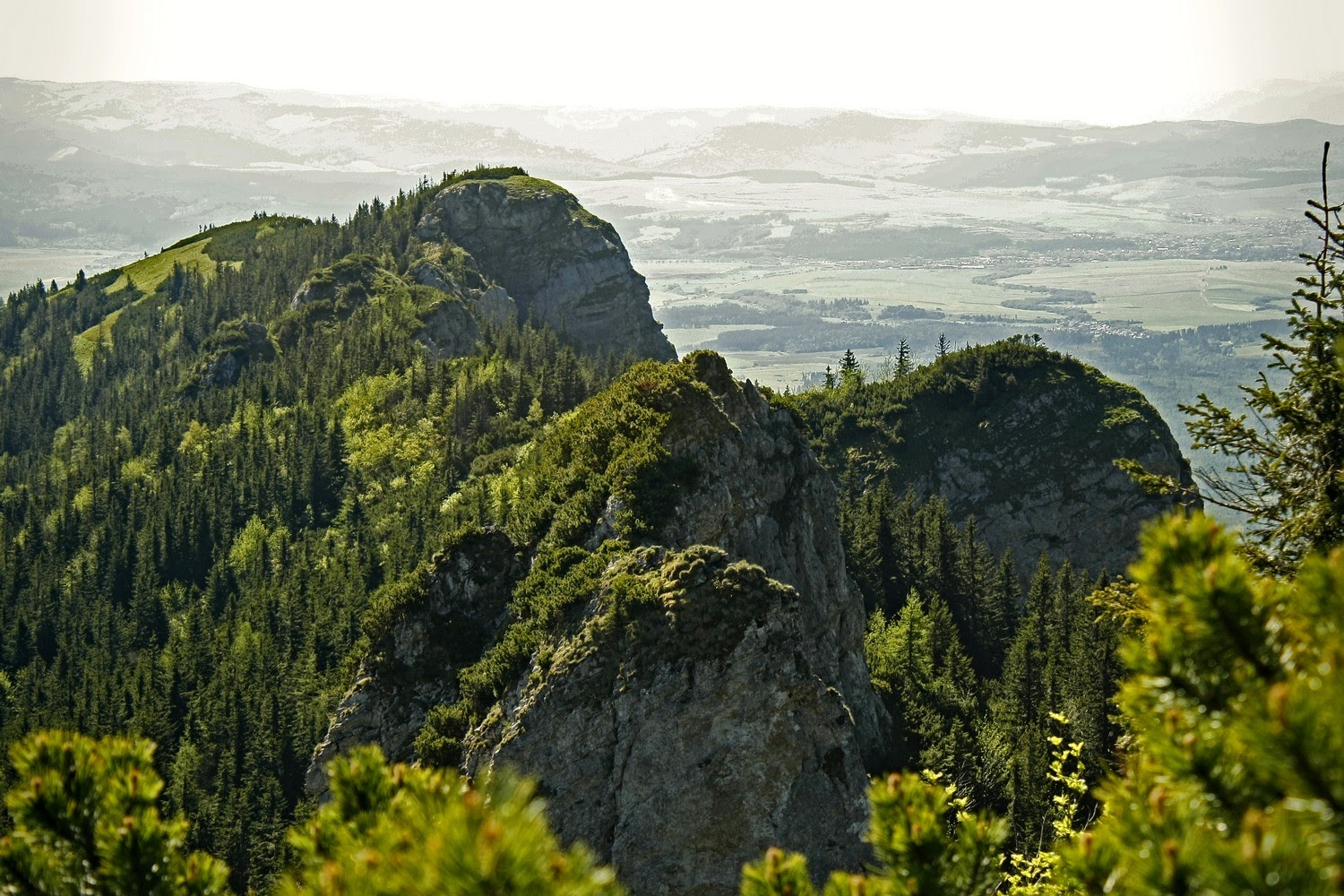 Pomurnikowa Ściana, Astrowa Ściana