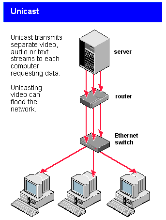 Transmit data. Мультикаст и юникаст. Unicast Packet. Юникаст 754 электроды. Unicast шторм это.