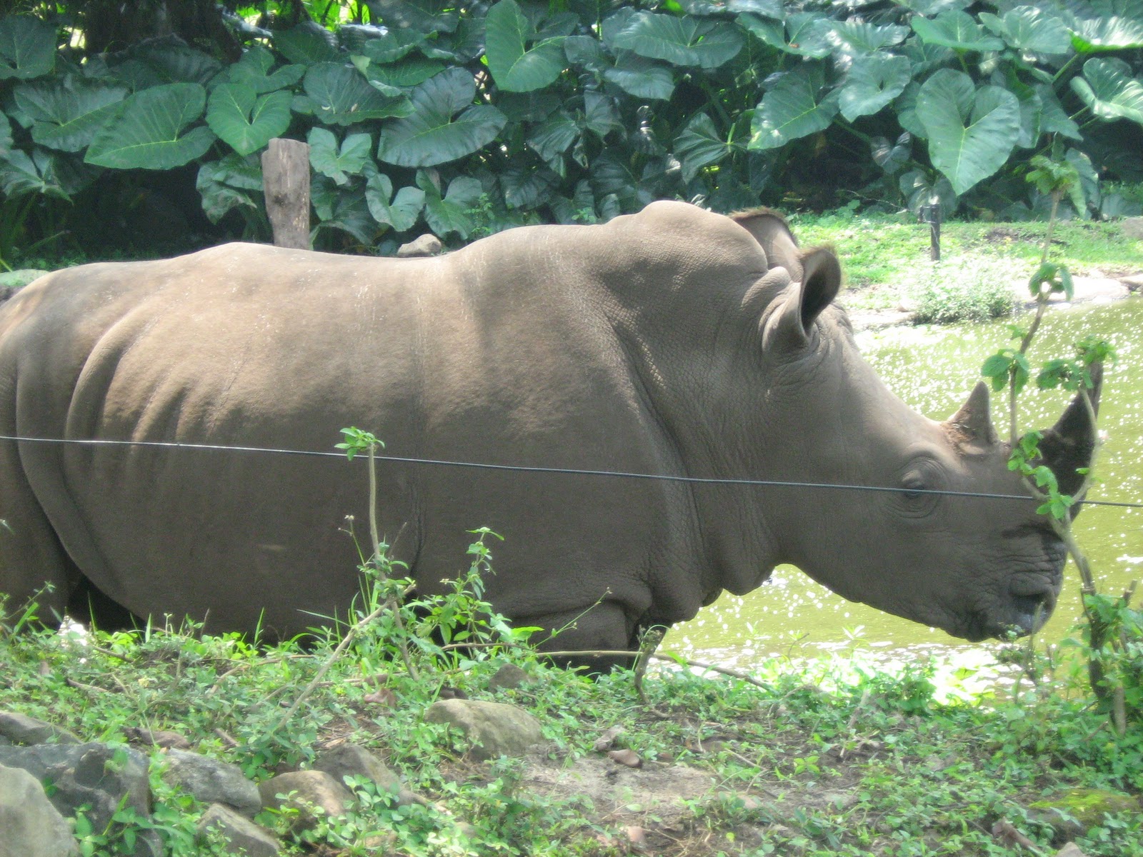 Taman Safari @ Malang, Jatim. | JAF Picture