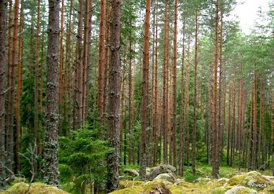 Svar till: Vi måste börja leva som lantisar!