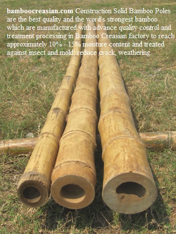 Quality Bamboo and Asian Thatch: High Quality Solid bamboo Poles| Bamboo Poles| Bamboo Cane ...