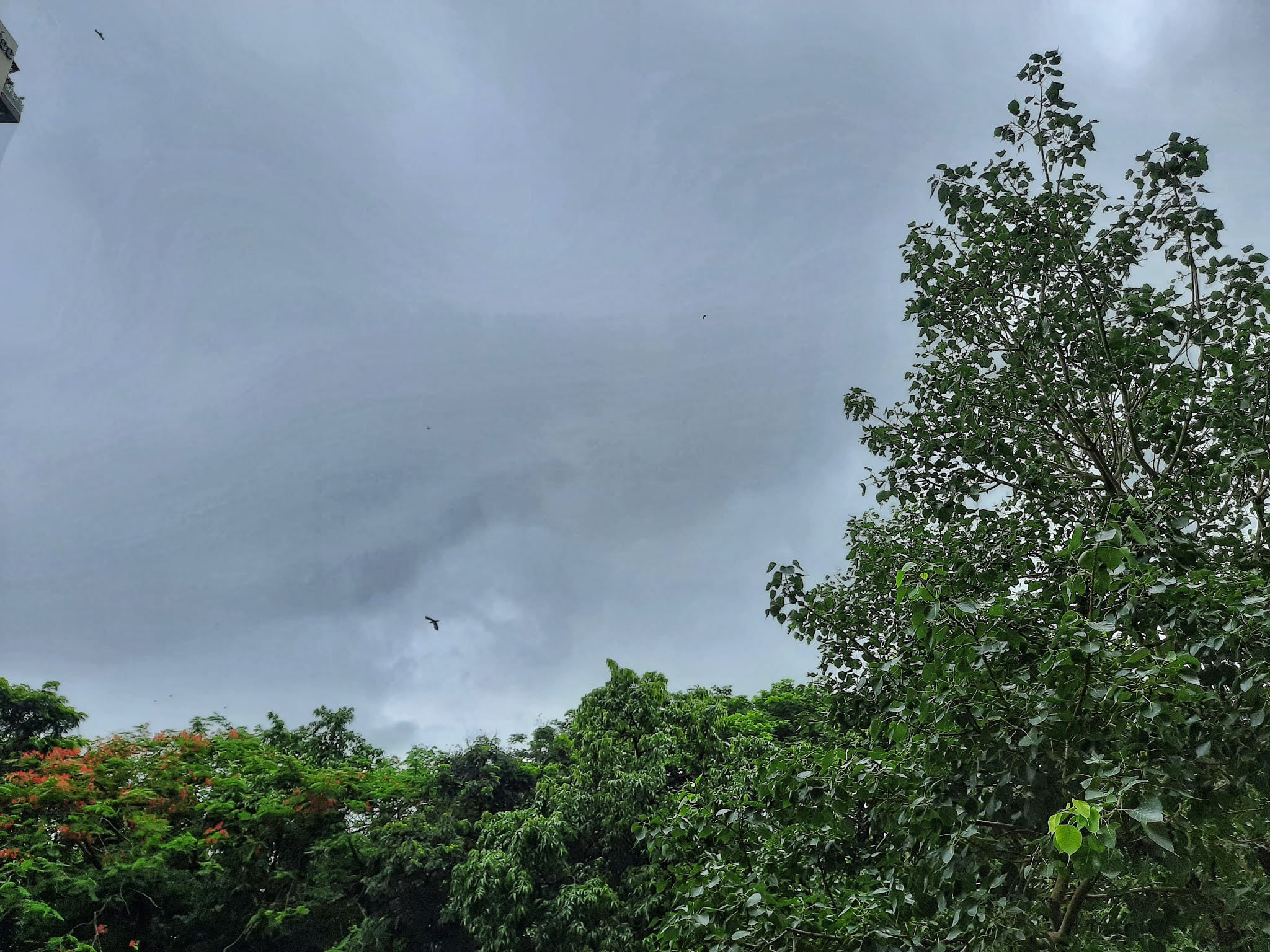 Mumbai Daily Gloomy weather