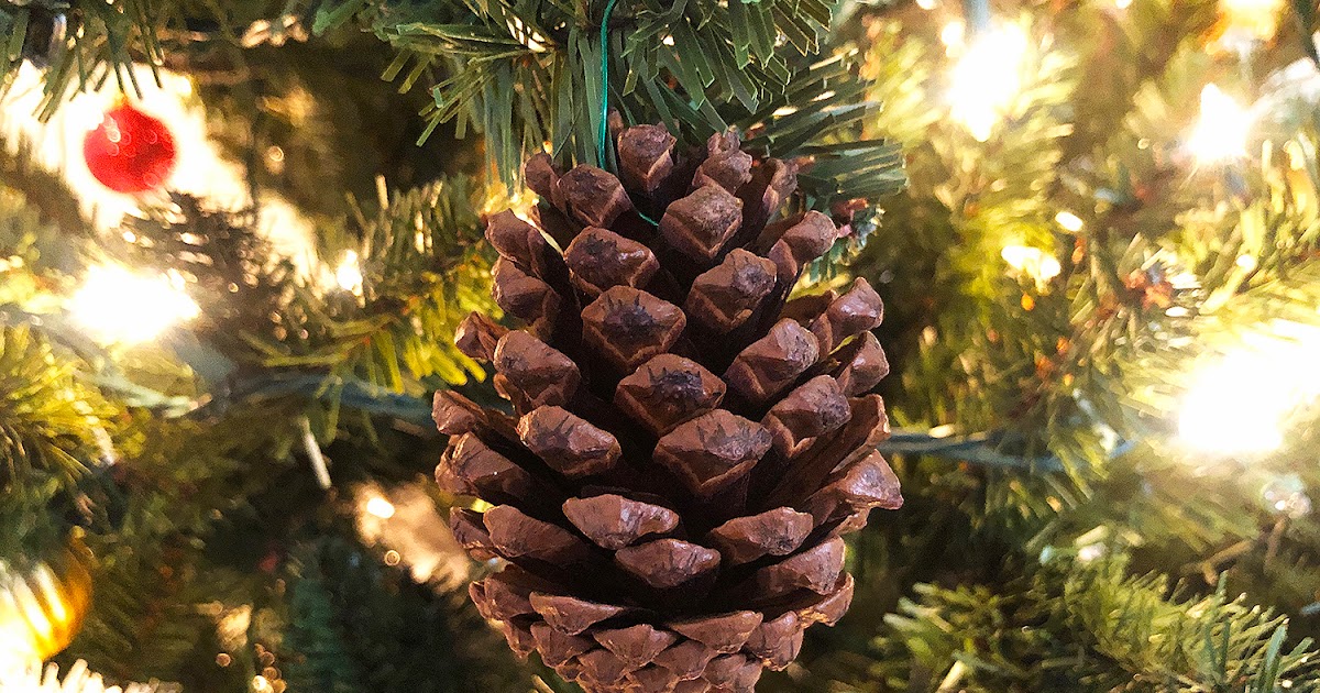 Christmas Tree Fragrance Oil Aromar – Lost Incense