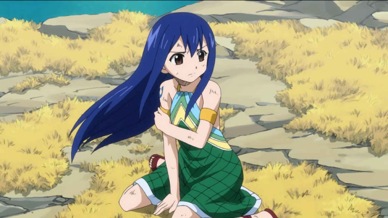 Fairy Tail: Wendy Marvell collection.