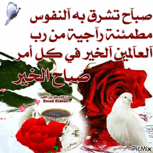 اجمل الصور المتحركة صباح الخير اجمل الصور المتحركة صباح الخير