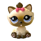 Littlest Pet Shop Pet Pairs Himalayan Cat (#2545) Pet