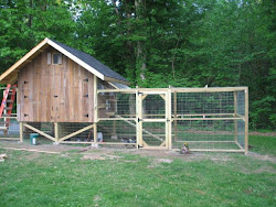 chicken coop chickens run build own suitable blueprints plans idea looking foter providing designated perches areas supplies yard keep portable