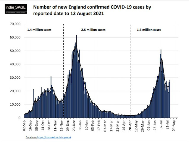 Cases of COVID in England to 12th August indieSAGE
