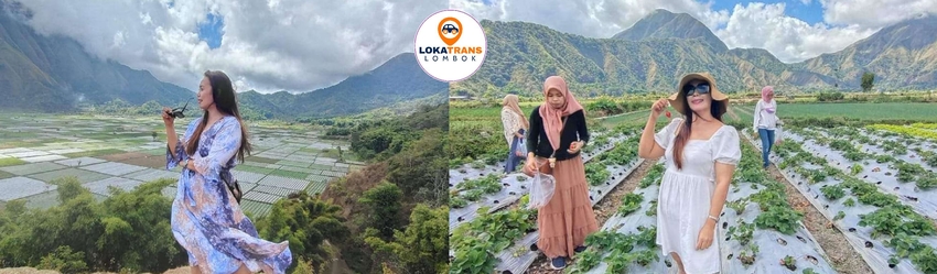 Sewa Mobil Tour Lombok