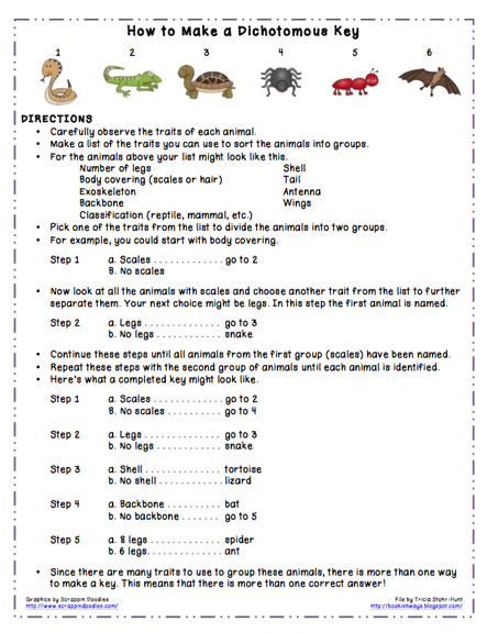 Dichotomous Key Worksheet Pdf Dichotomous Key Worksheet Pdf