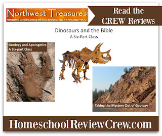 Online Geology Classes{Northwest Treasures Reviews}