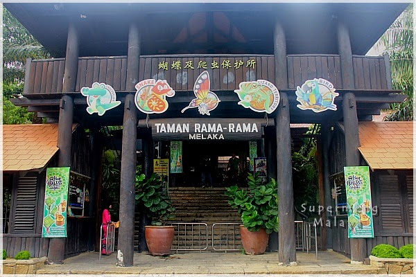 Supermeng Malaya Melaka 2014 01 Taman Rama Rama And Reptilia Ayer