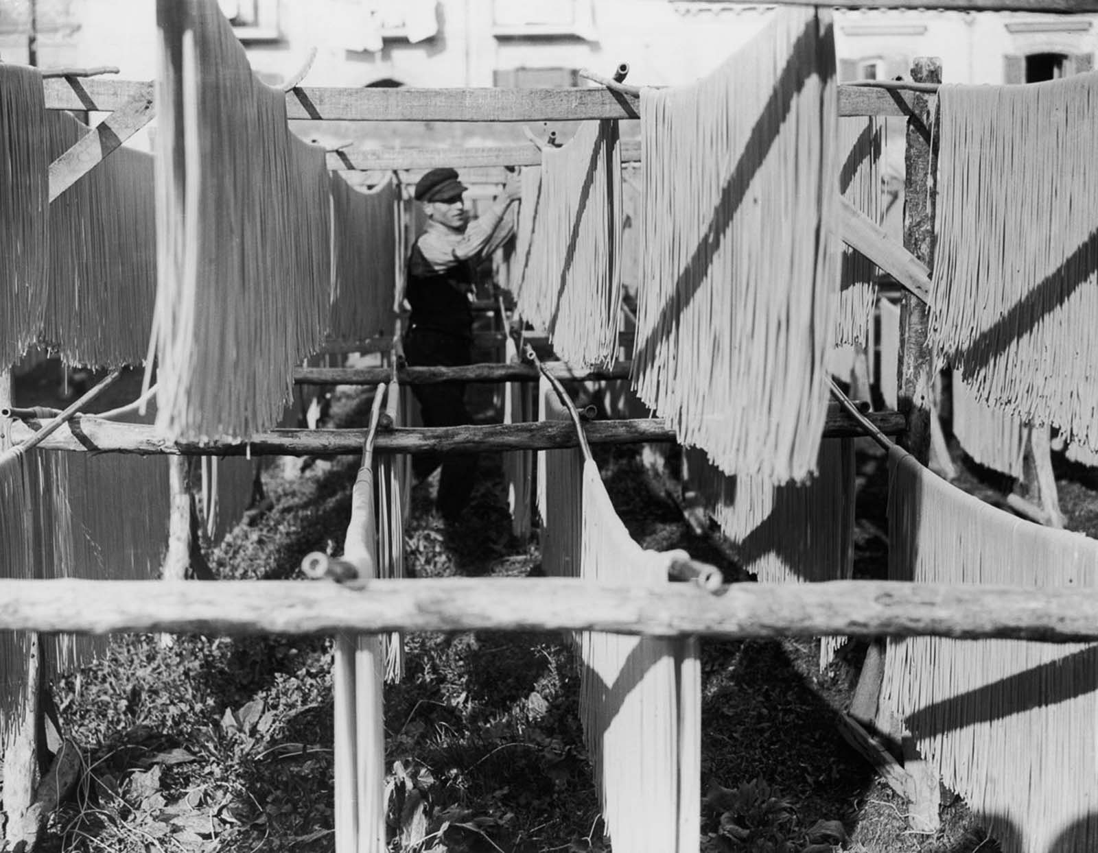 Pasta strands hung out to dry at a factory in Naples, Italy. 1925.