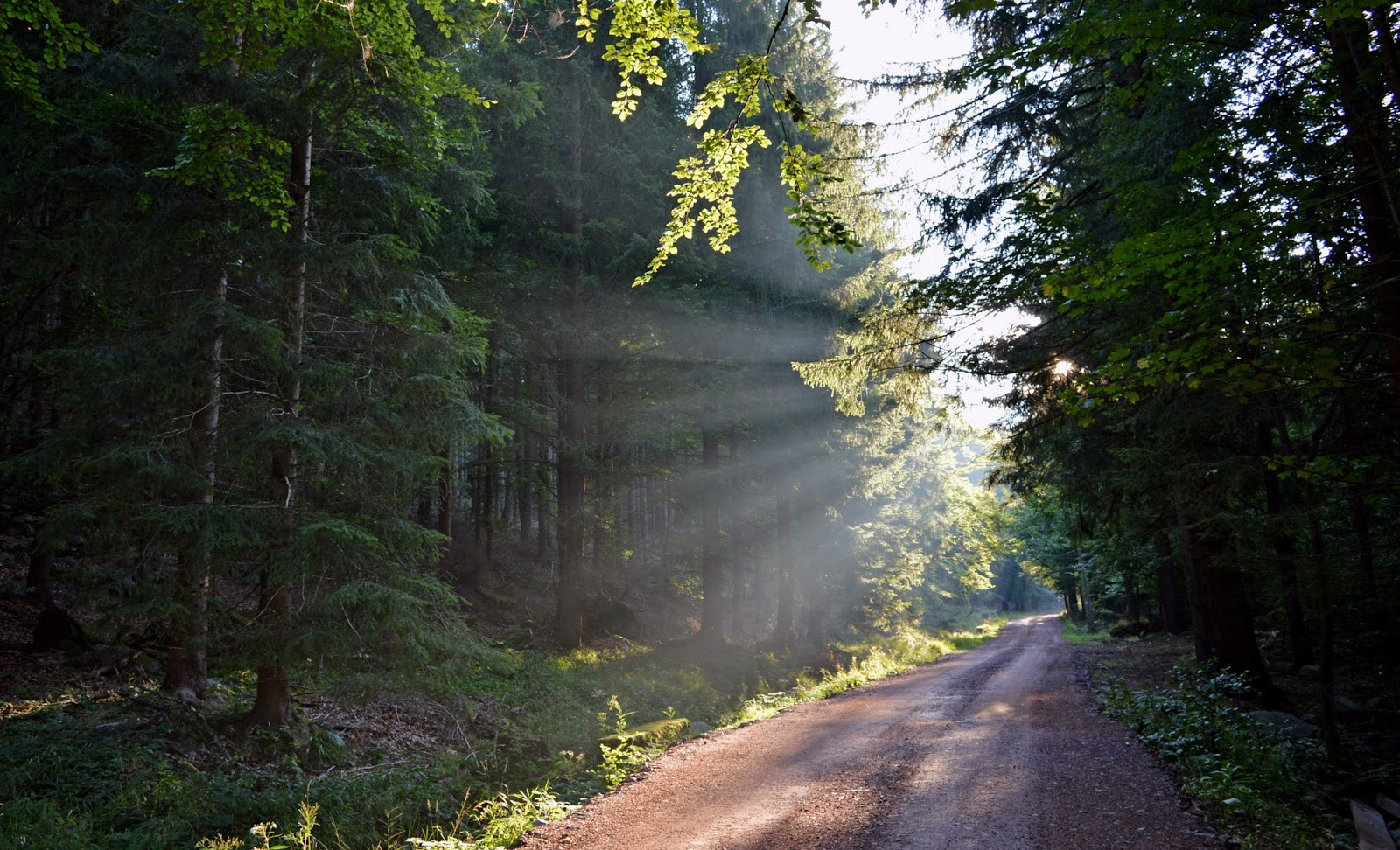 Jesień góry poranek