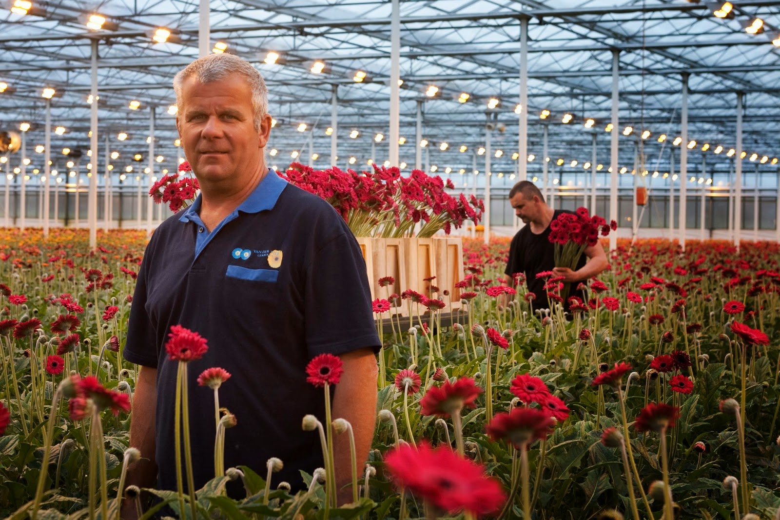 Krabbels Tekst & Beeld KOM IN