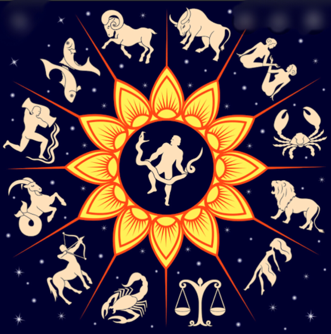 2021 ThE_PhOEniX_sOuL