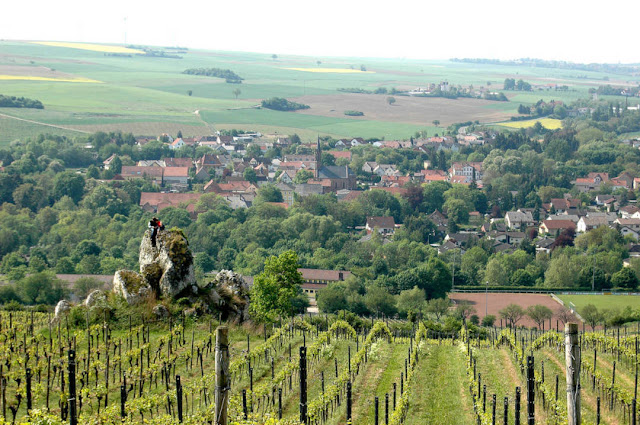 Im idyllischen Zellertal in der Pfalz findet das Donnersberger Weinforum 2019 statt.