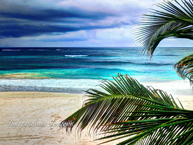Tulum, Mexico beach with palm tree